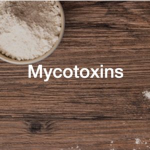 FAPAS Proficiency Test of Mycotoxins