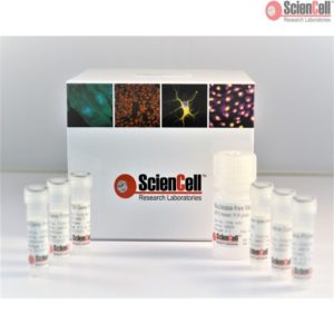 Sciencell Cell Analysis Assay Kit