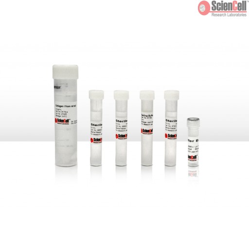 Sciencell Cell Culture Reagents - Image 12