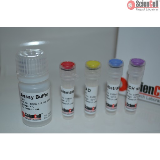 Sciencell Enzyme Activity Assay Kit - Image 6