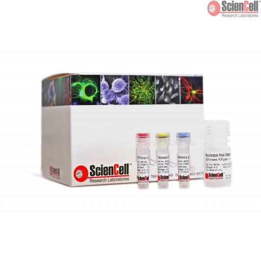 Sciencell Aging Markers Quantification Kits