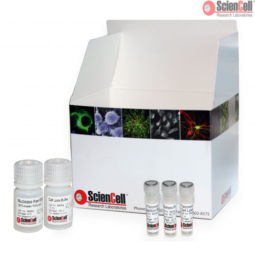 Sciencell Aging Markers Quantification Kits - Image 3