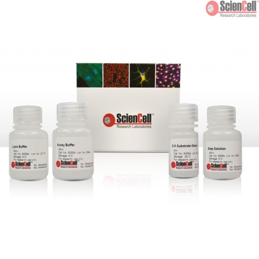 Sciencell Kit for Stem Cell Research - Image 5