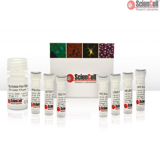 Sciencell Kit for Stem Cell Research - Image 3