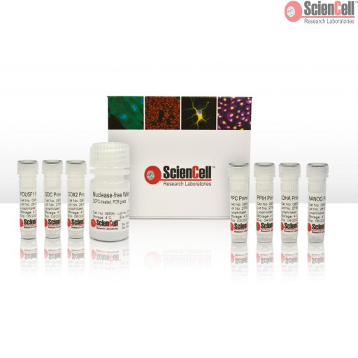 Sciencell Kit for Stem Cell Research - Image 4