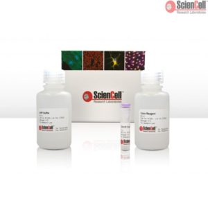 Sciencell Metabolism Assay Kit