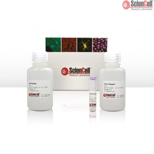 Sciencell Metabolism Assay Kit