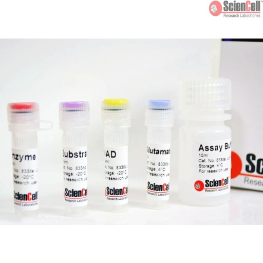 Sciencell Metabolism Assay Kit - Image 3
