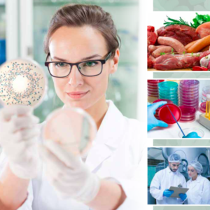 Microbiology Culture Media