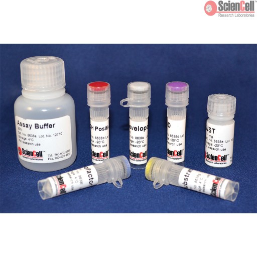 Sciencell Organelle Analysis Assay Kit - Image 4