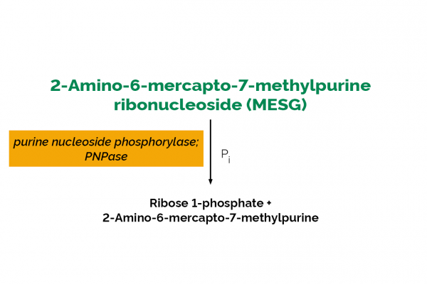 Megazyme Phosphate Assay Kit - Image 2