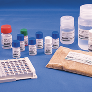 BioKits Egg Assay Kit