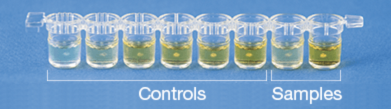 BioKits Peanut Assay Kit - Image 2