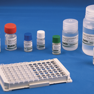 BioKits BLG Assay Kit